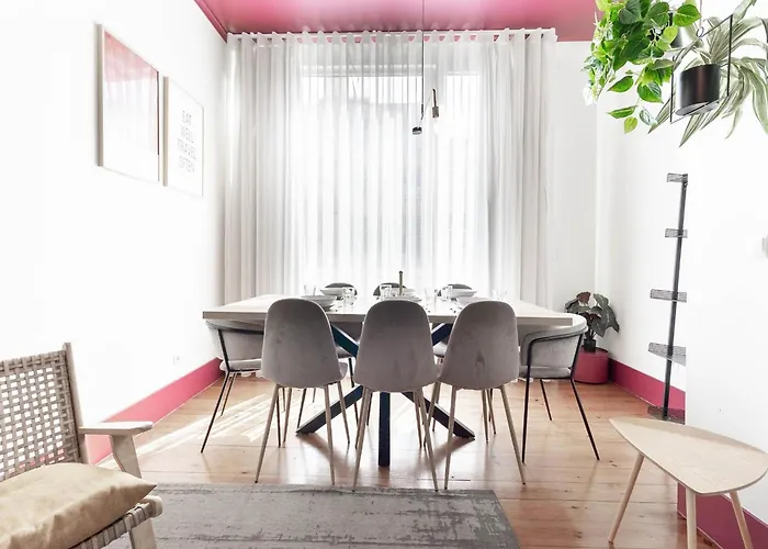 Akicity Alameda Fusion *